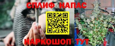 гидра Лесосибирск