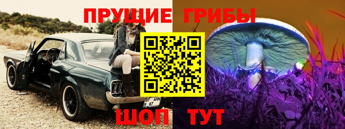 Псилоцибиновые грибы Cubensis Родники