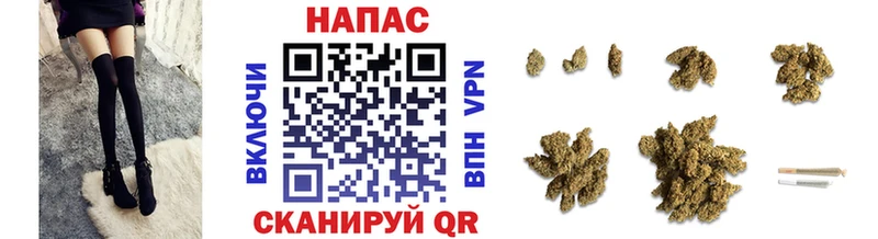 Конопля Ganja  Родники 